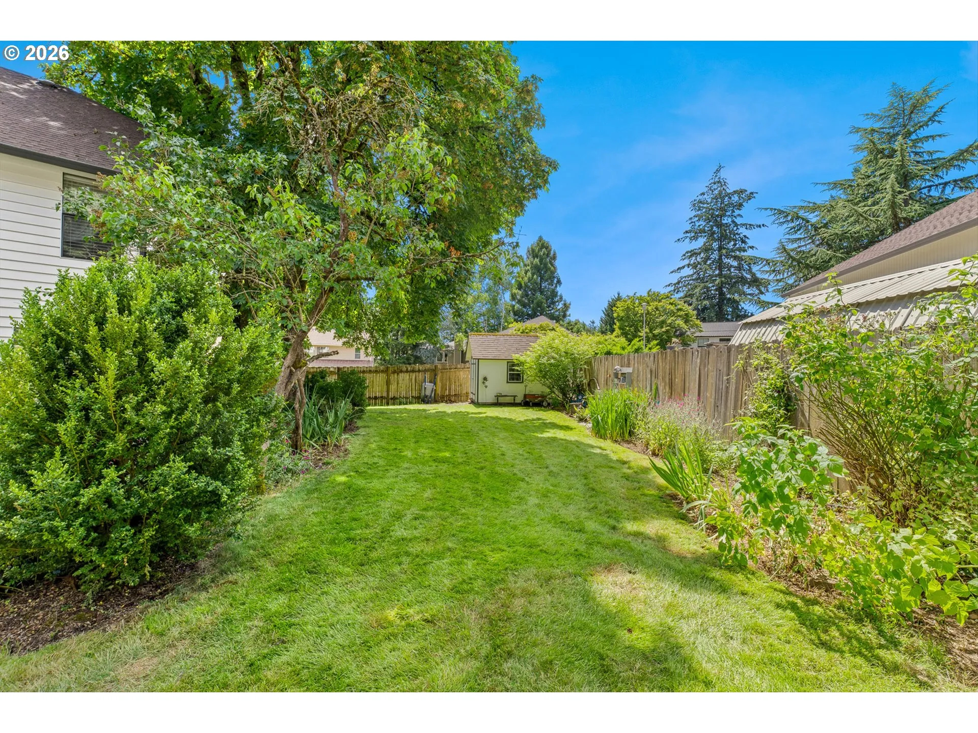 Backyard-Fenced