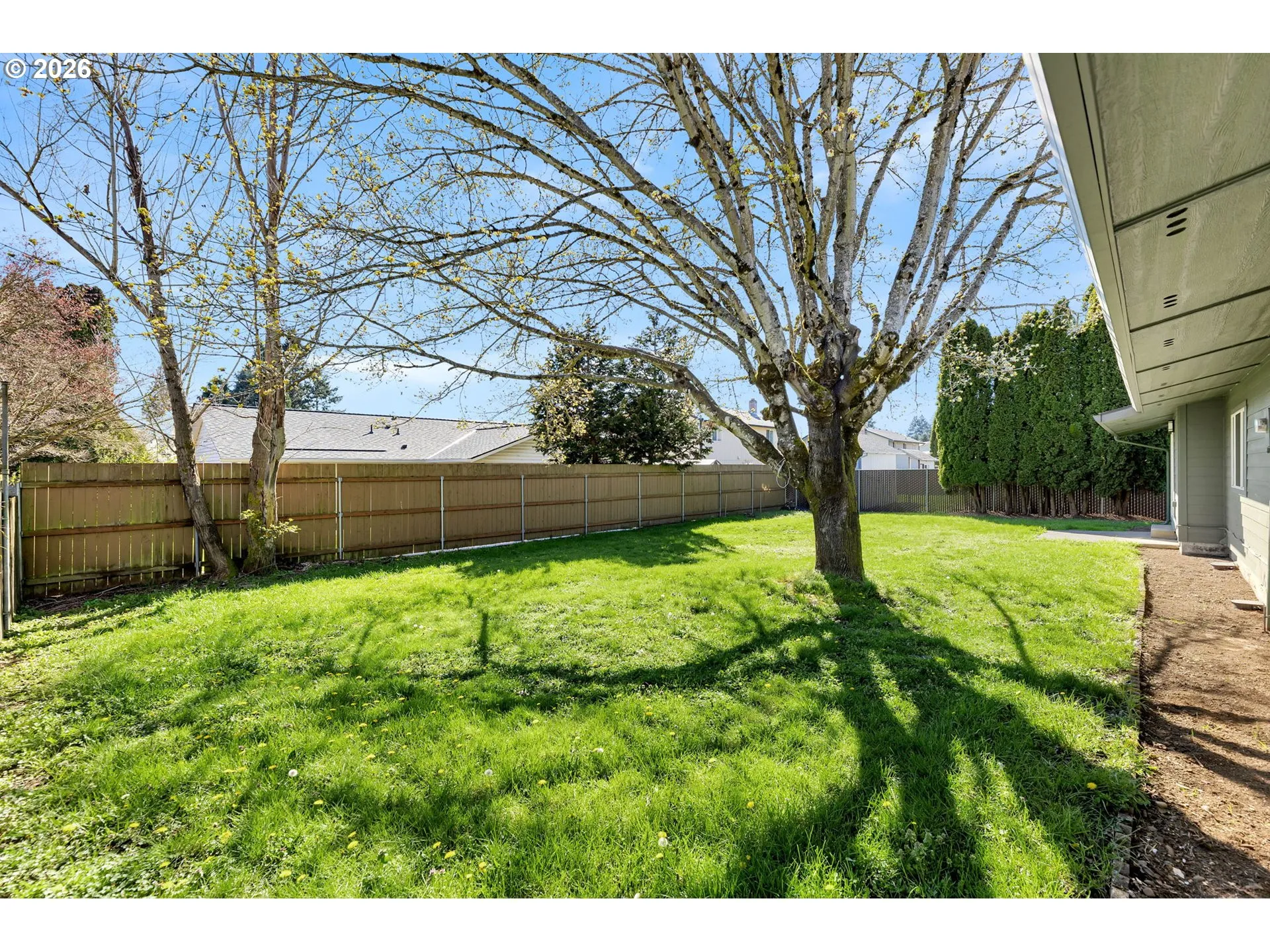 Backyard