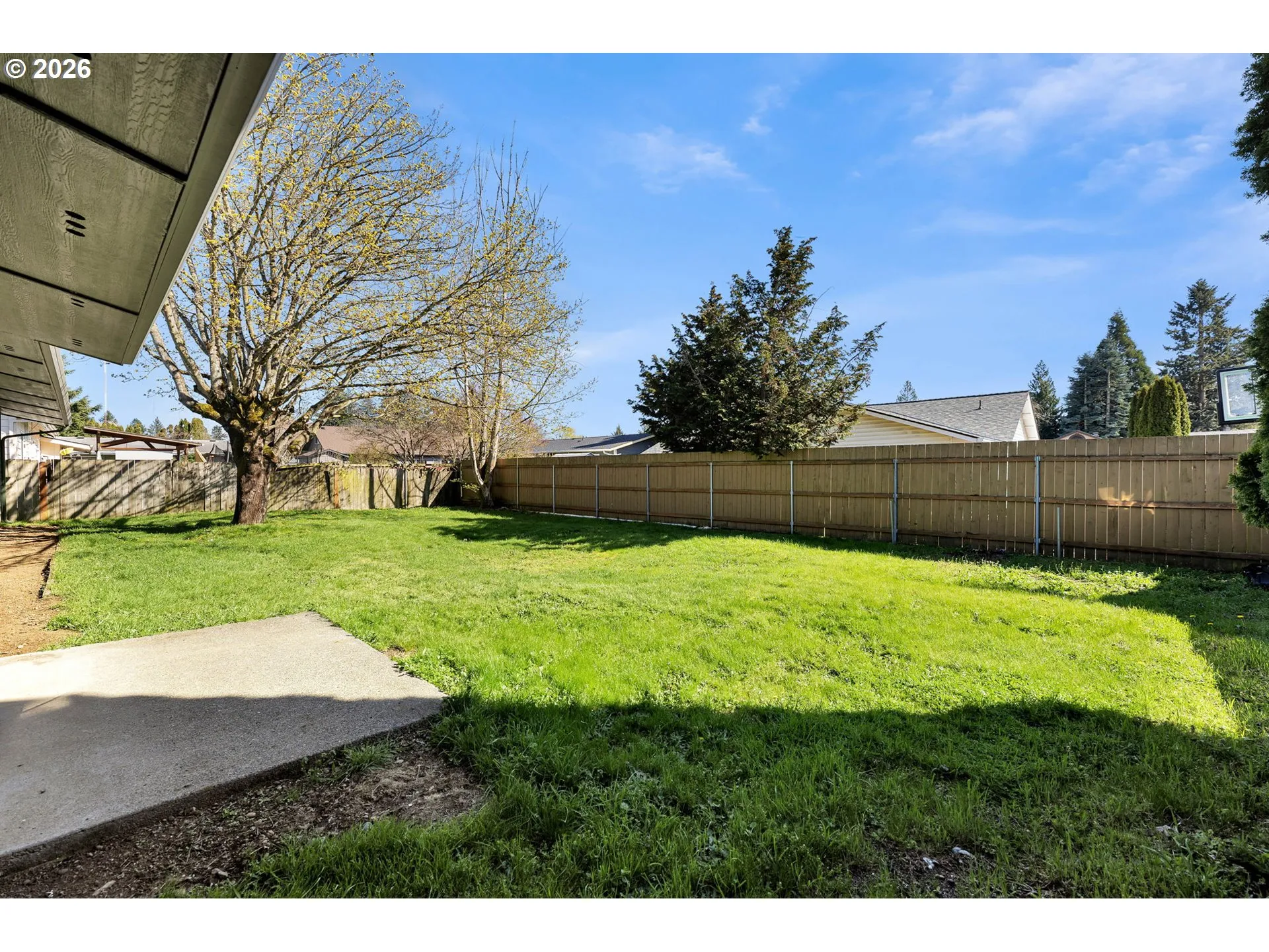 Backyard