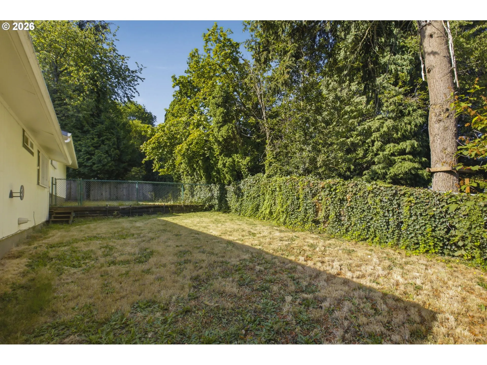 Backyard