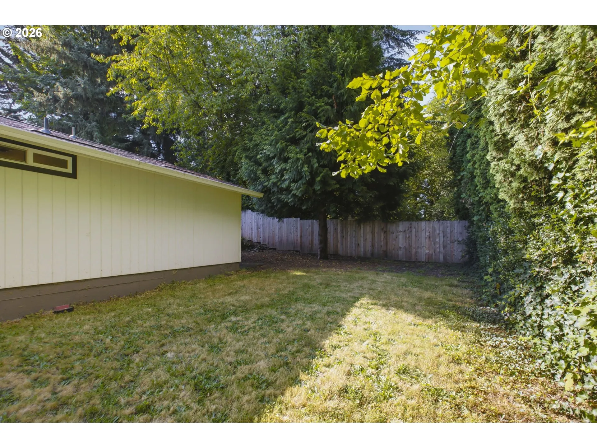 Backyard