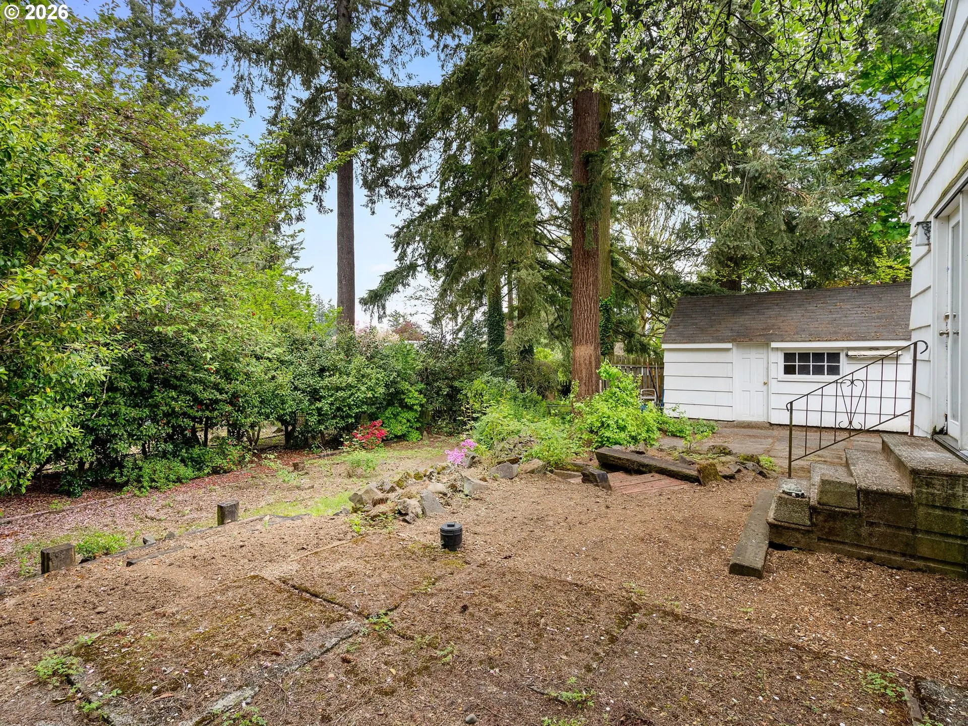 Backyard-View From