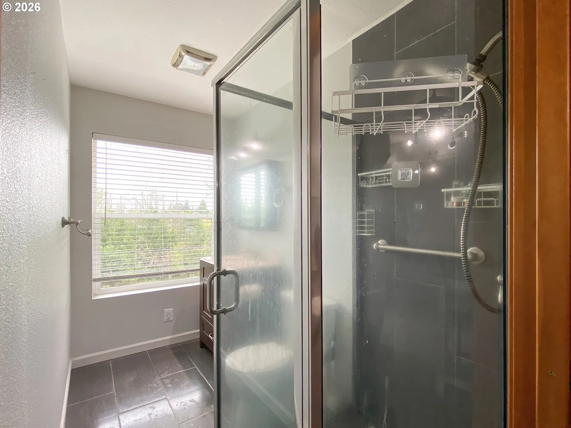 Bathroom-Walk in Shower