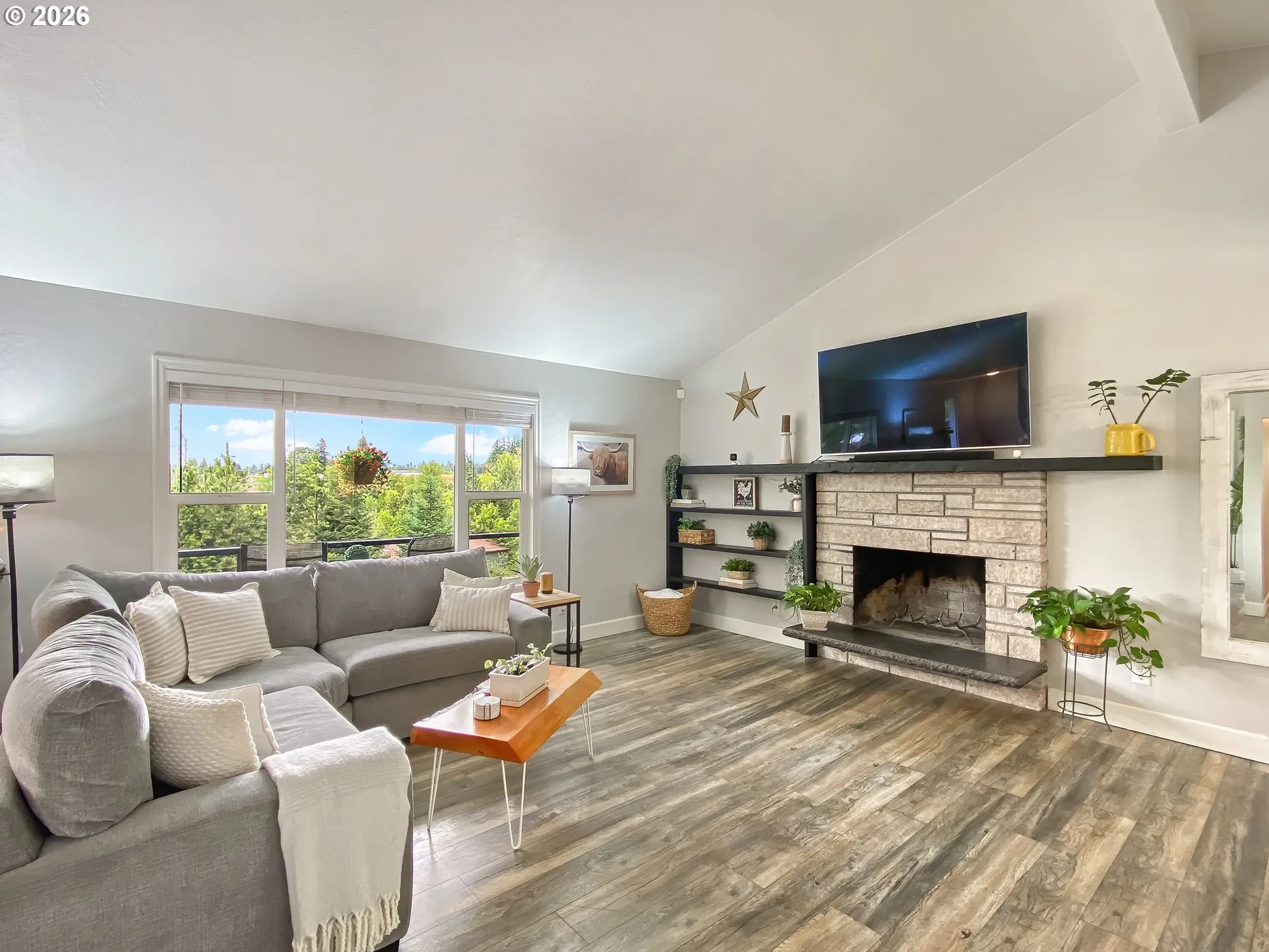 Fireplace Wood Burning Stove/Insert