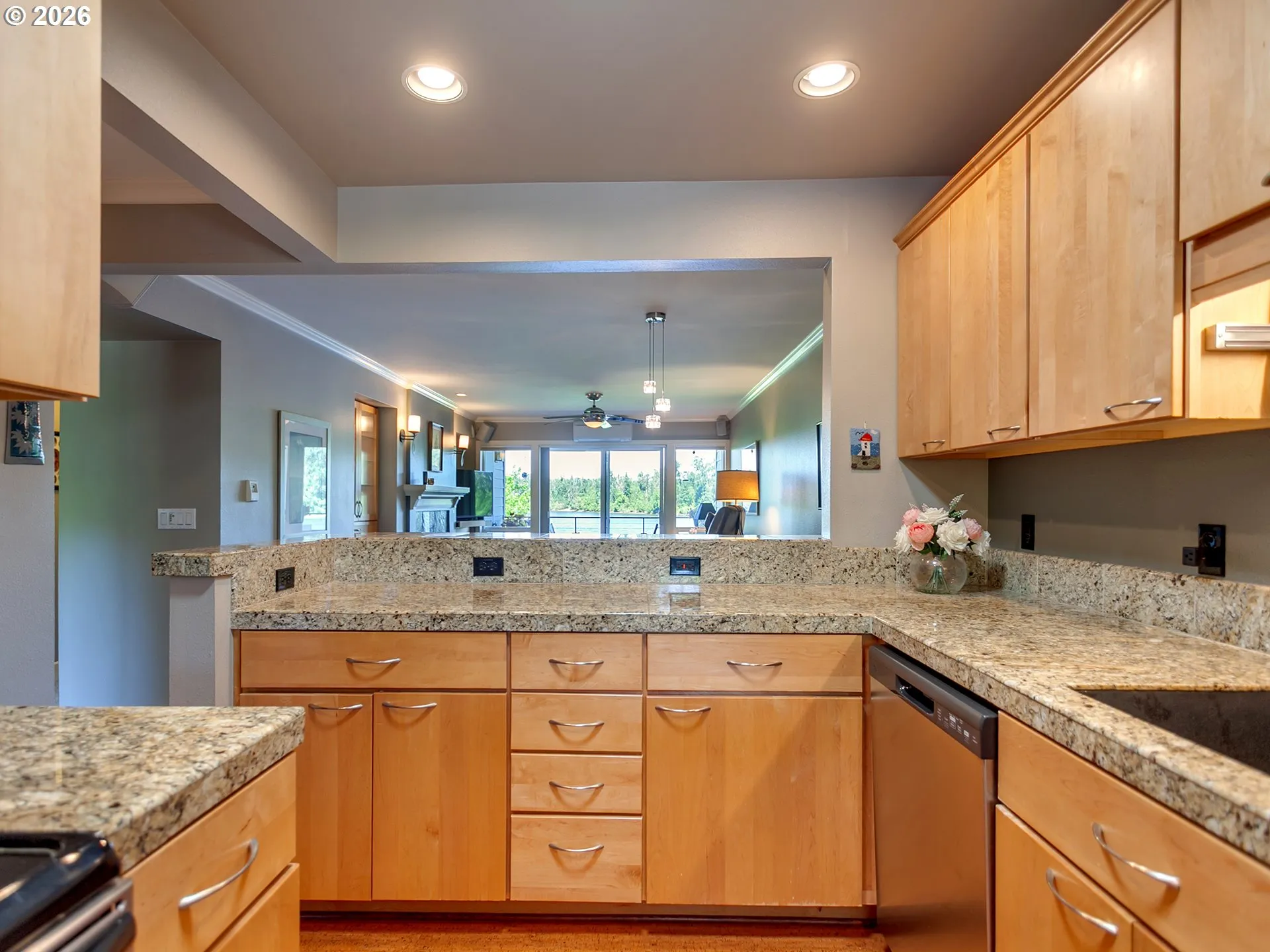 Kitchen-View From
