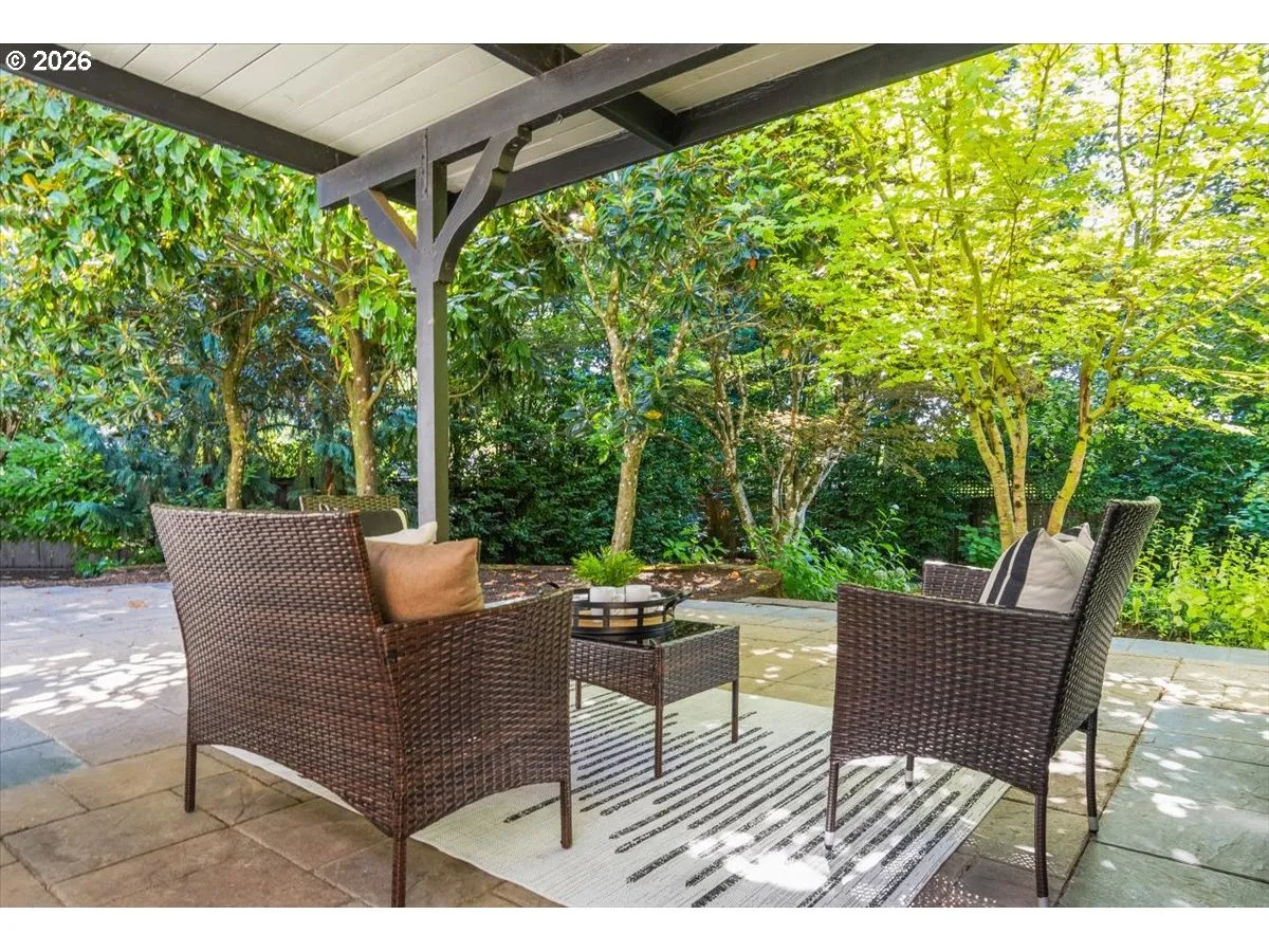 Backyard-View From