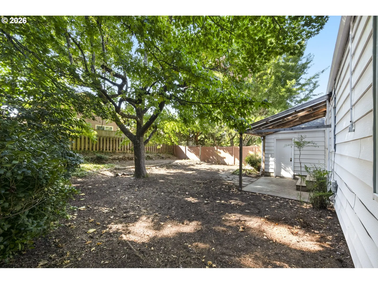Backyard