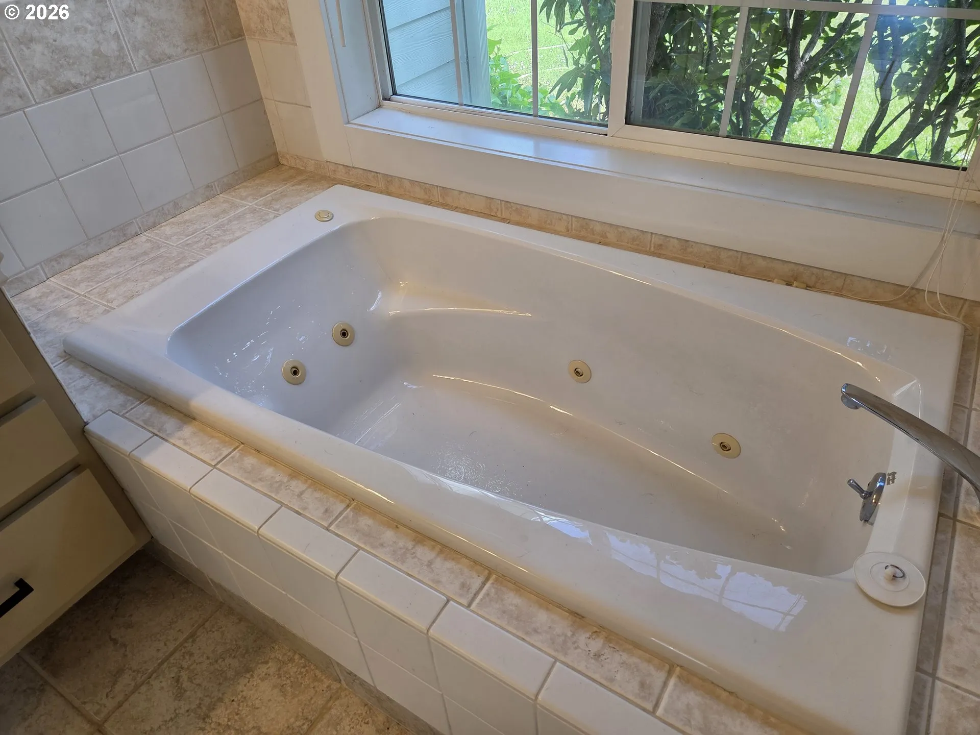 Owner's Suite Bathroom-Garden Tub