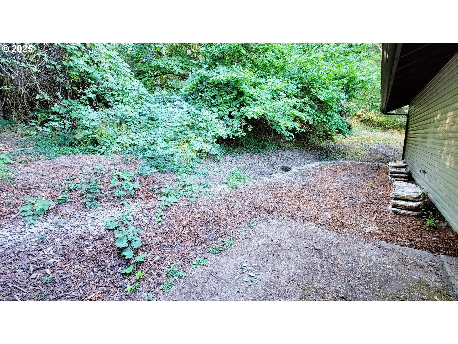 Backyard-# 1