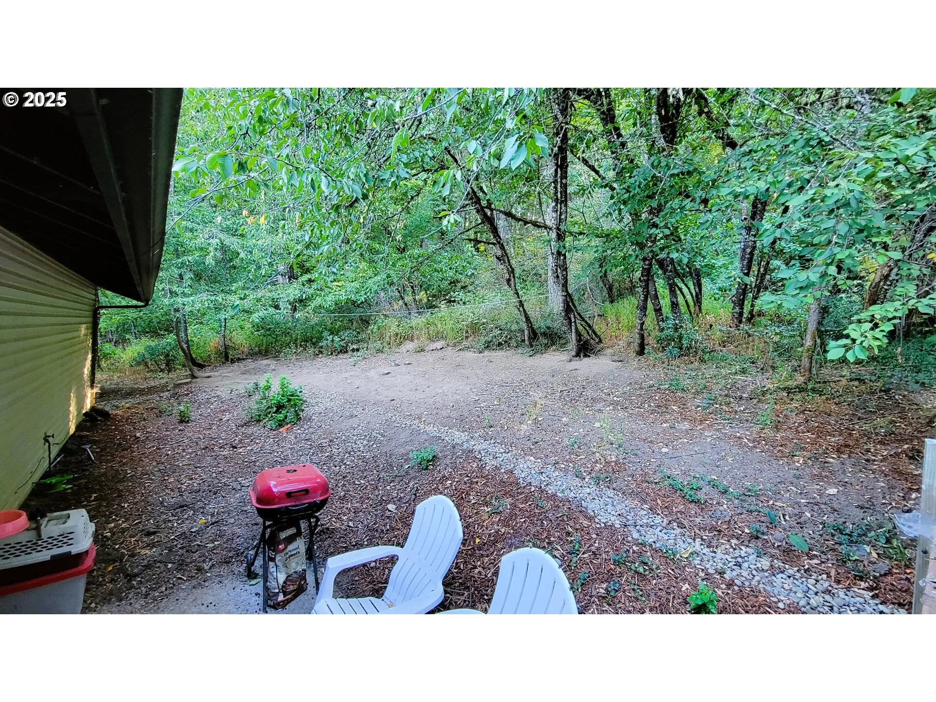 Backyard-# 2