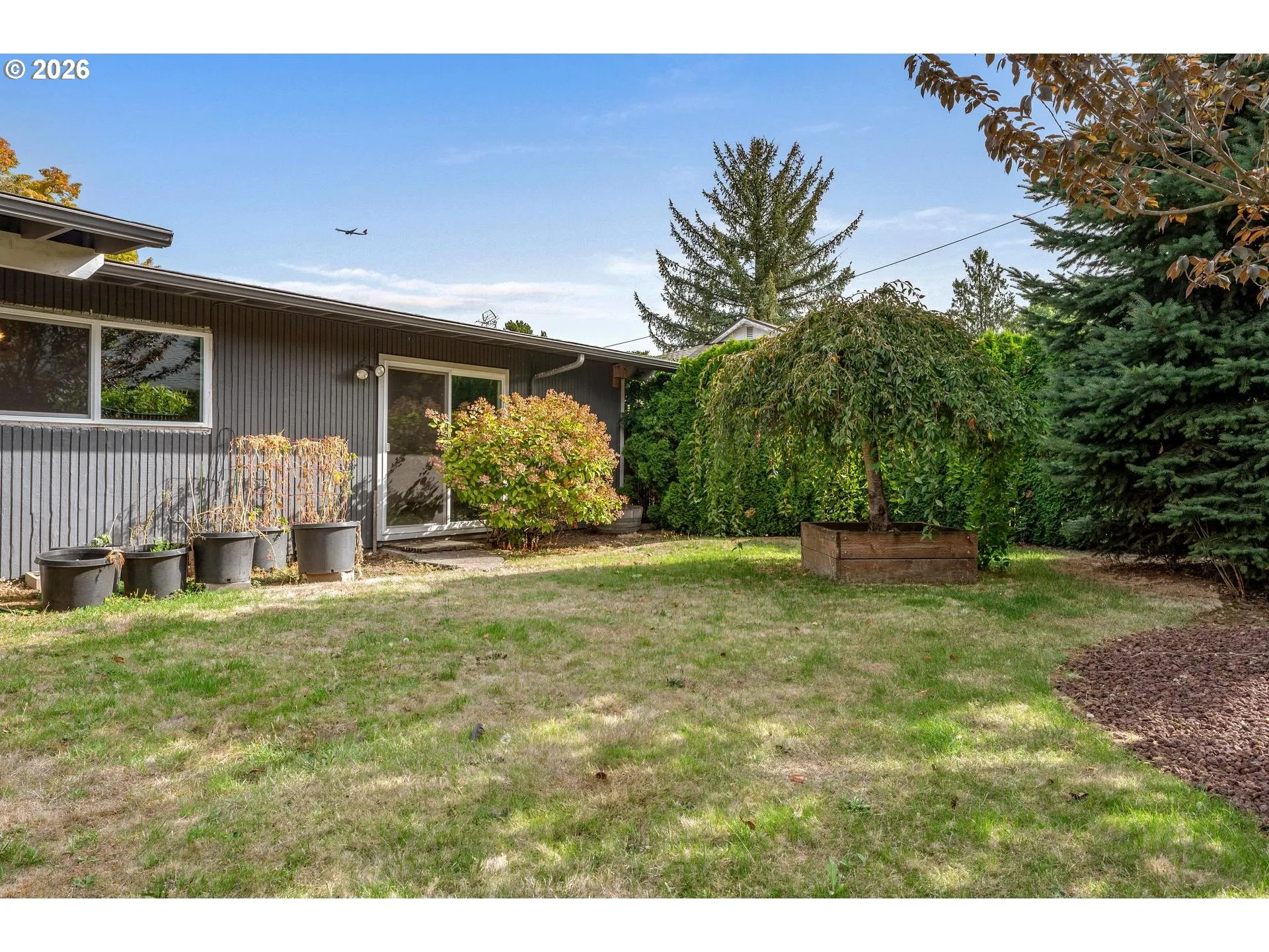 Backyard-View From