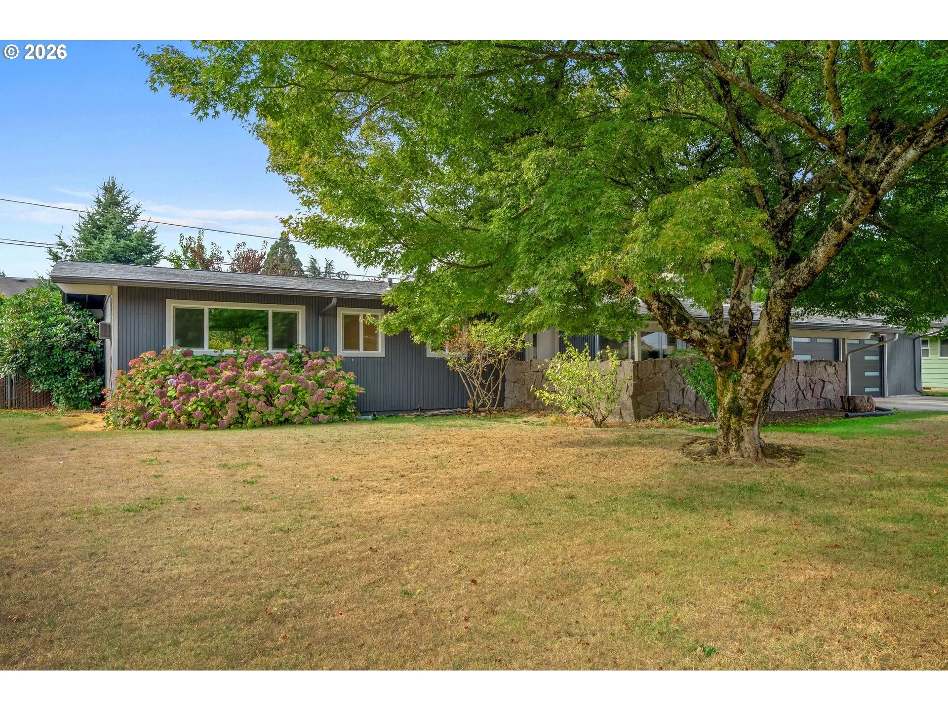 Front Yard-View From