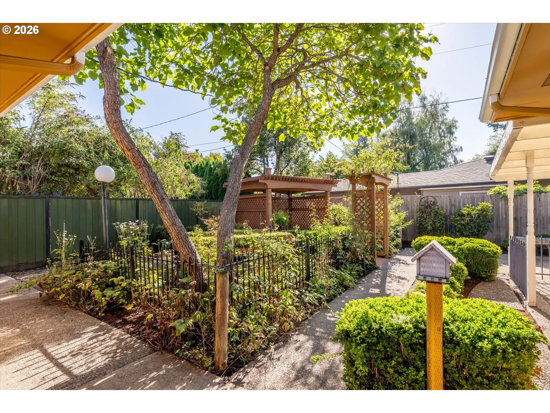 Backyard-Fenced