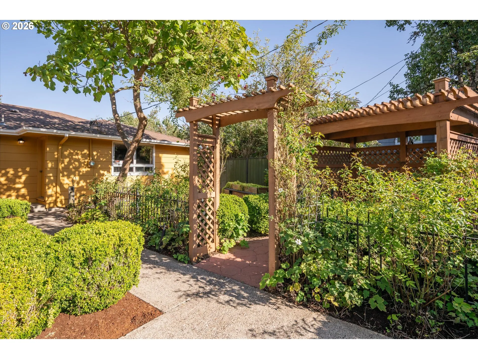 Backyard-Fenced