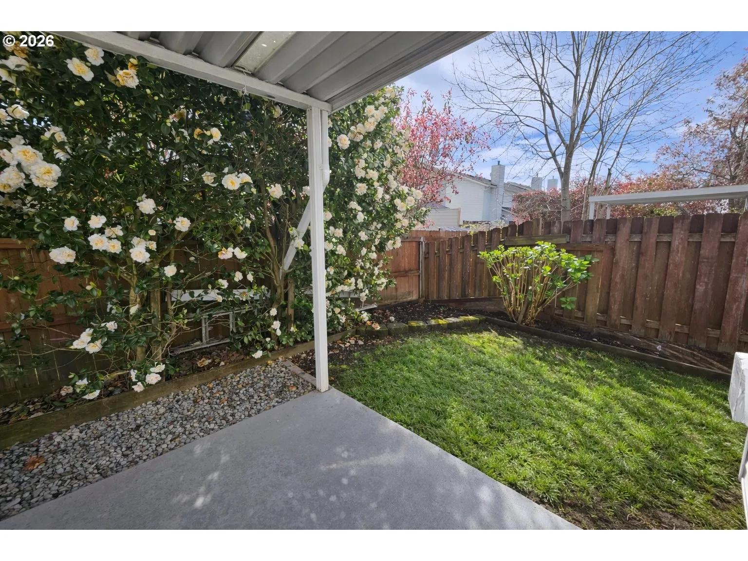 Backyard-Fenced