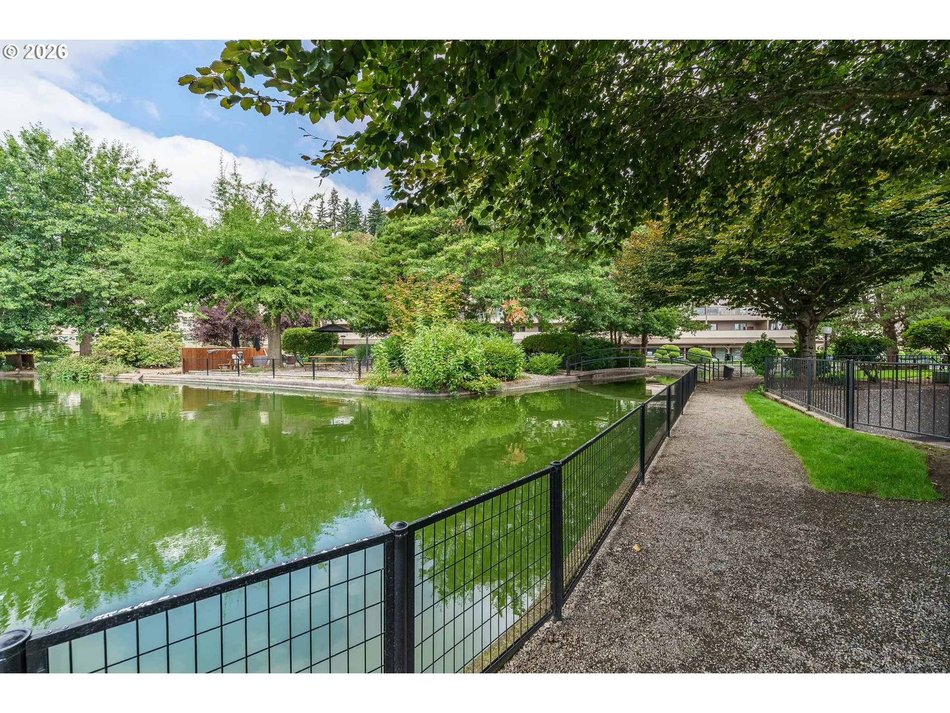 Pond