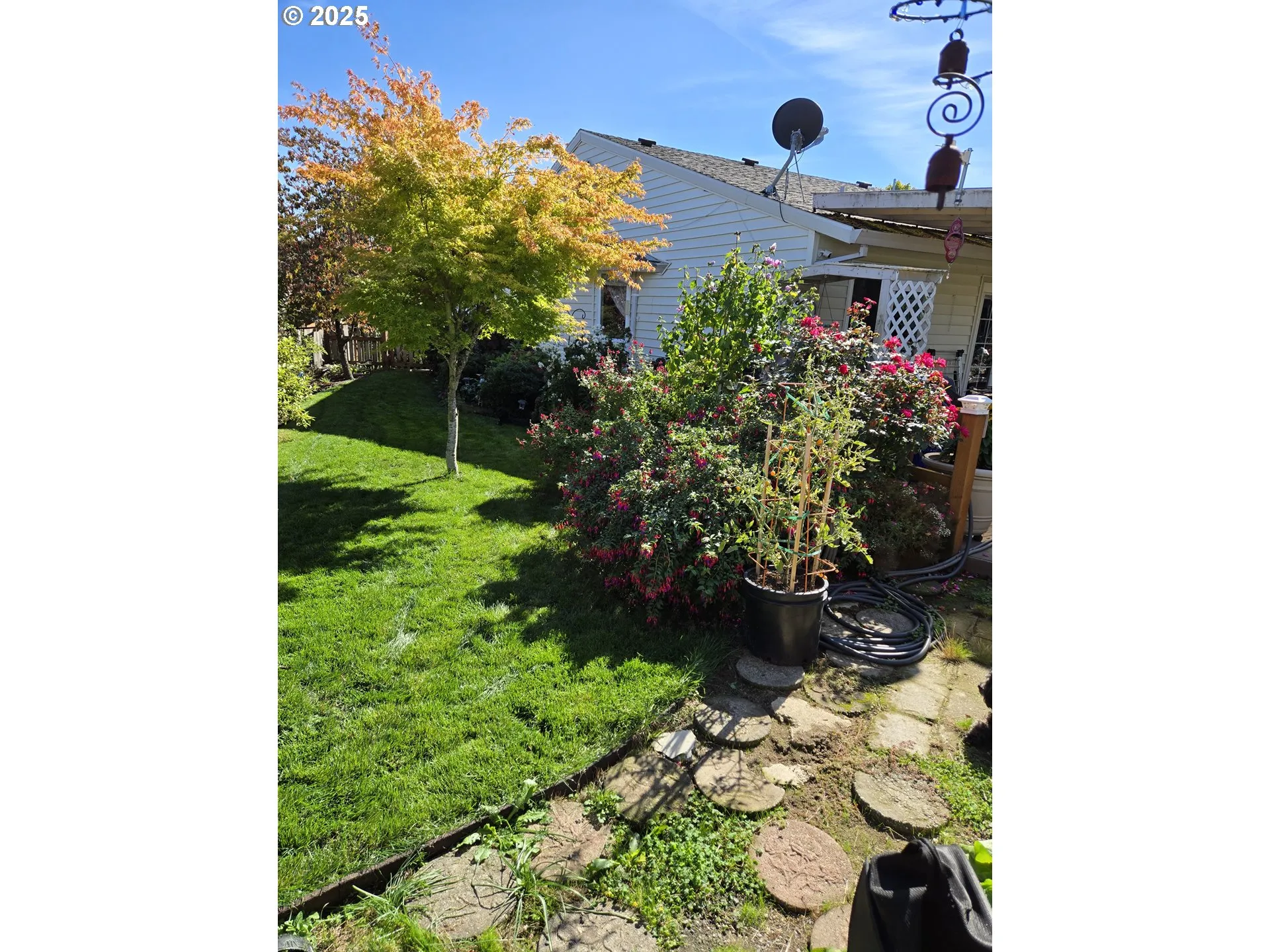 Backyard-View From