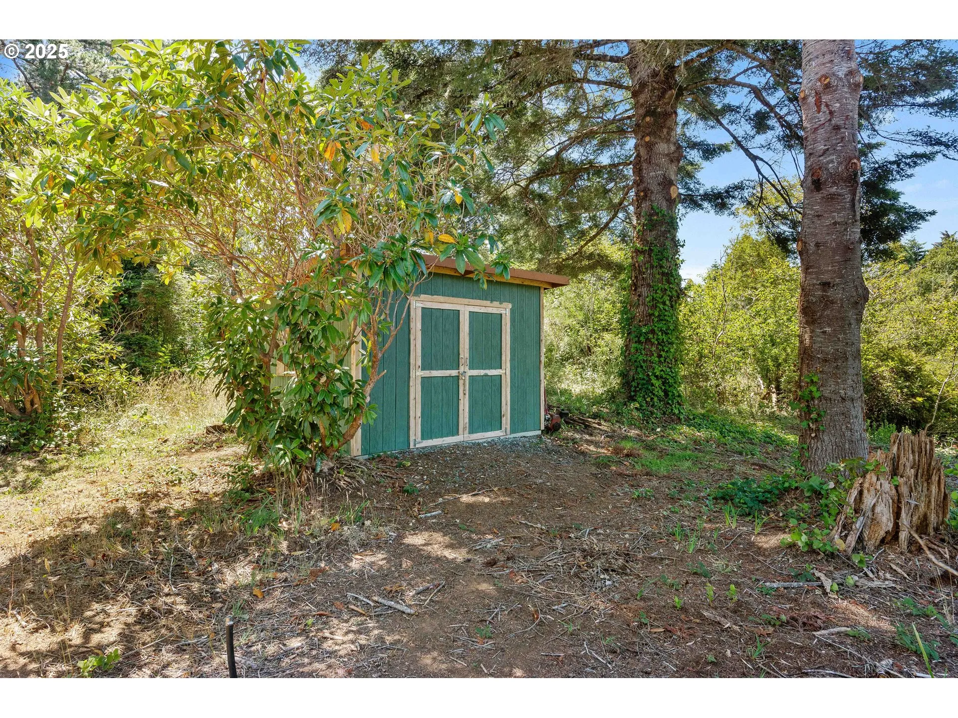 Shed