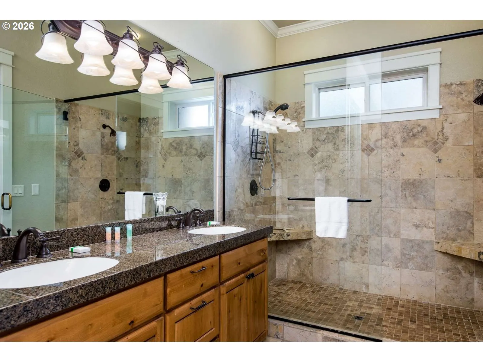Owner's Suite Bathroom-Walk in Shower