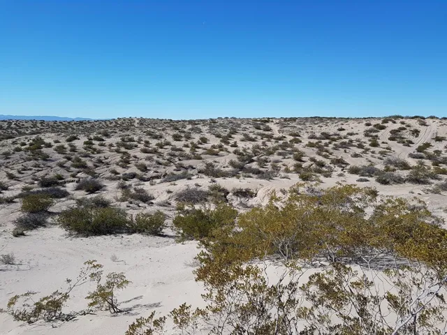 Tbd Fabens, Fabens, Texas 79838