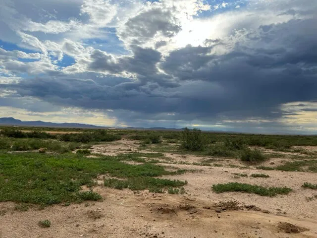 736 Upham Road, Elephant Butte, Nm 87935