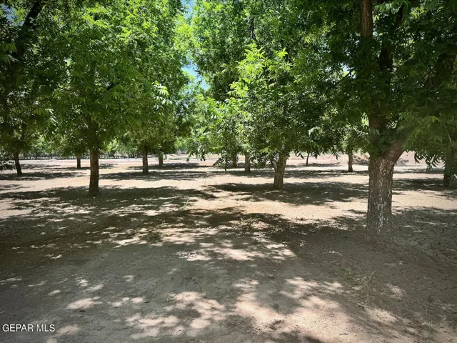4695 Page Farm Circle, Anthony, Nm 88021