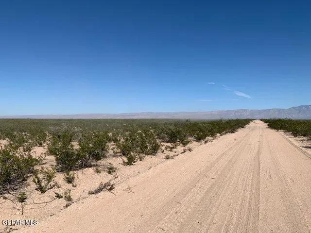 76 Tsp 5 Sec 35 T&p S Rches #95 Lot 23, Sierra Blanca, Tx 79851
