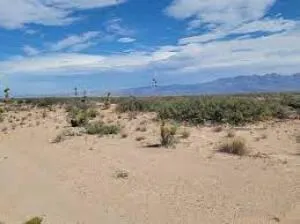 Tbd 69 Tsp 2 Sec 22 T & P Guadalup, Unincorporated, Tx 99999