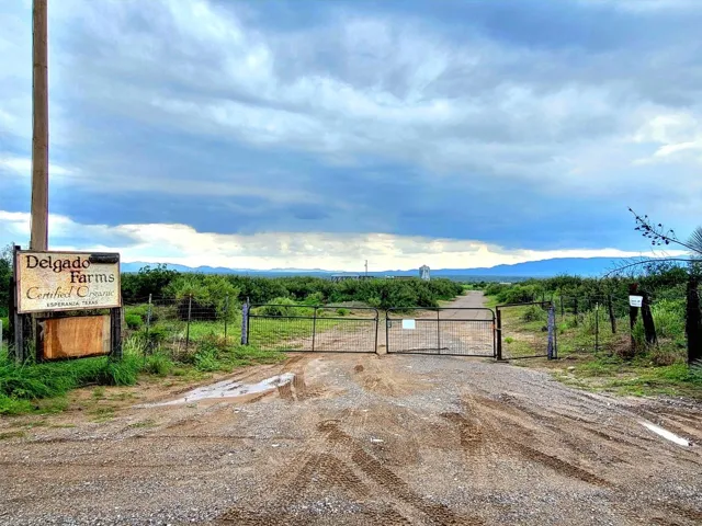 6700 Farm Market Rd 192 Road, Ft Hancock, Tx 79839