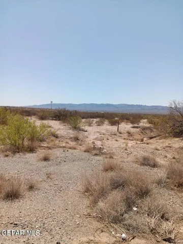 65 1/2 Sec 11 Psl Lot 17 (20 Acres) E, Ft Hancock, Texas 79839