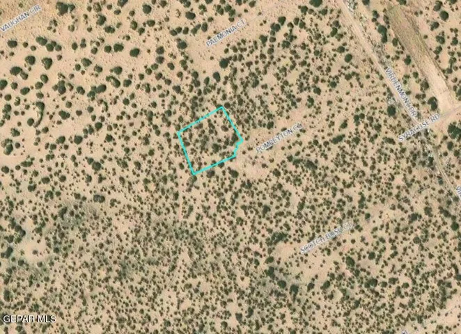 119 Horizon View Estates 15 Lot 25, Horizon City, Texas 79928