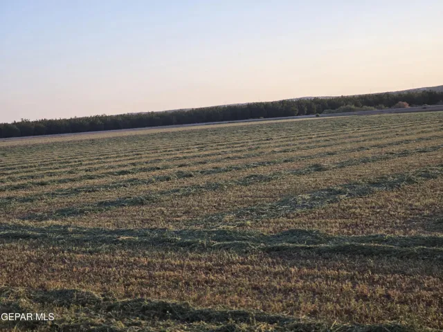 Pn-235652 Porter Rebb Rd, Fabens, Texas 79838