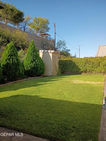 Nice backyard