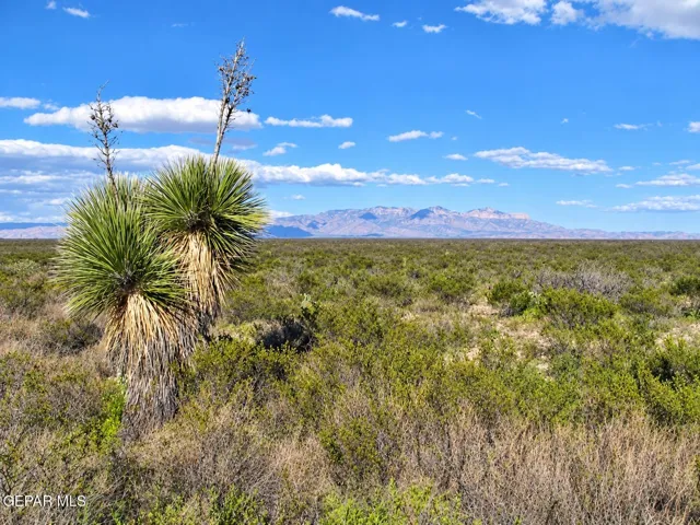 Pn-105599 Sparks Ranch, Sierra Blanca, Texas 79851