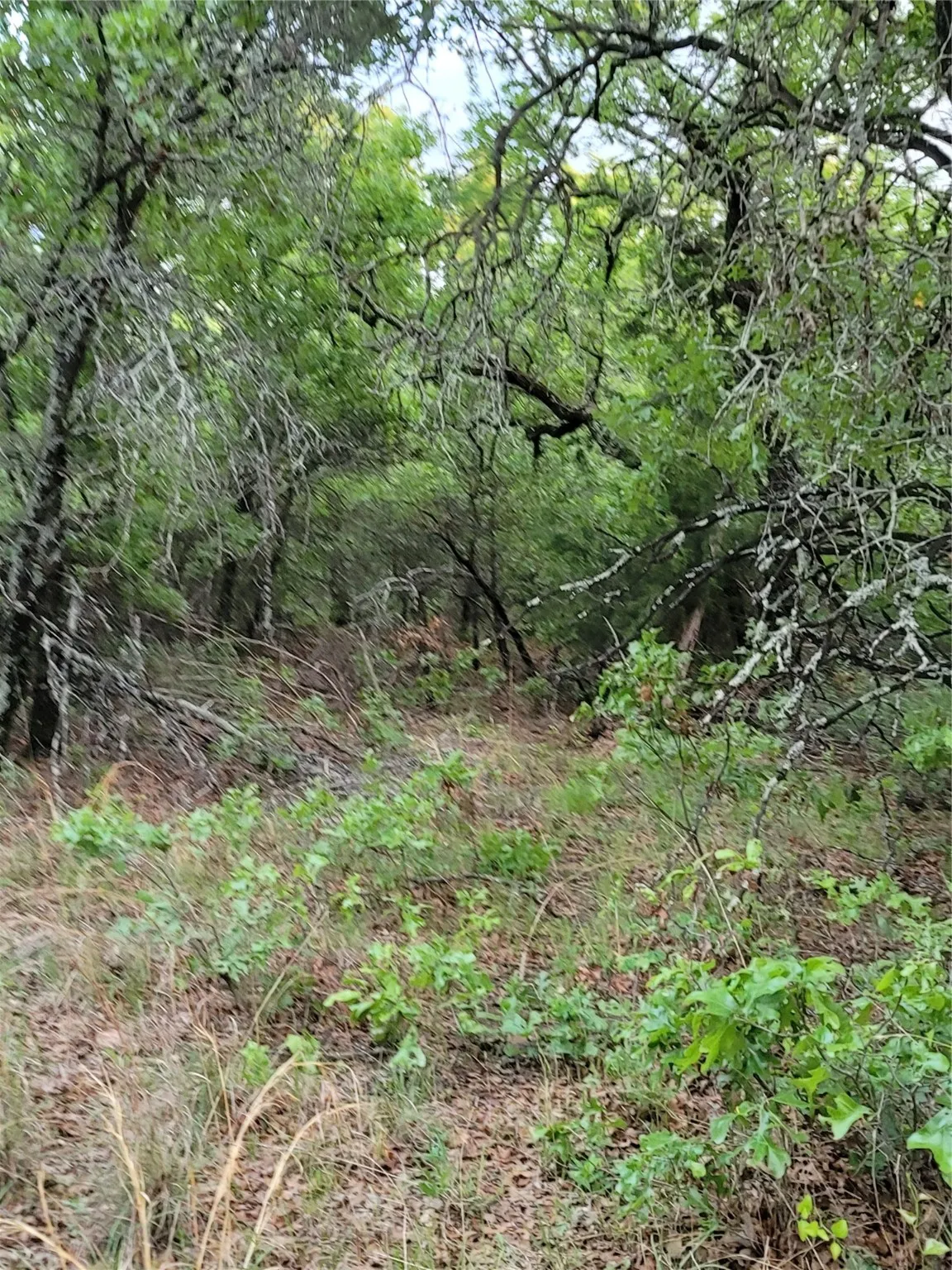 Ranch For Sale in Montague County , 00000 Hwy 59 S, Bowie, Texas 76230, 0, 0, Garage spaces, 0 Sqft, built in 0, Price $375,375, mls#14626757, Real Estate Agent in Bowie, Homes For Sale in Montague county, Homes For Sale in Bowie, Realtor in Bowie Texas, Real Estate Brokerage Independent Realty Texas, Luminita Cordes Realtor