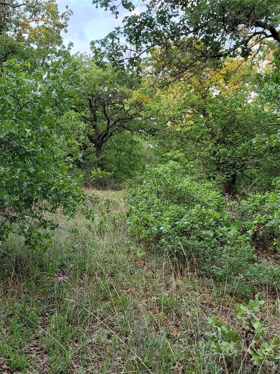Ranch For Sale in Montague County , 00000 Hwy 59 S, Bowie, Texas 76230, 0, 0, Garage spaces, 0 Sqft, built in 0, Price $375,375, mls#14626757, Real Estate Agent in Bowie, Homes For Sale in Montague county, Homes For Sale in Bowie, Realtor in Bowie Texas, Real Estate Brokerage Independent Realty Texas, Luminita Cordes Realtor