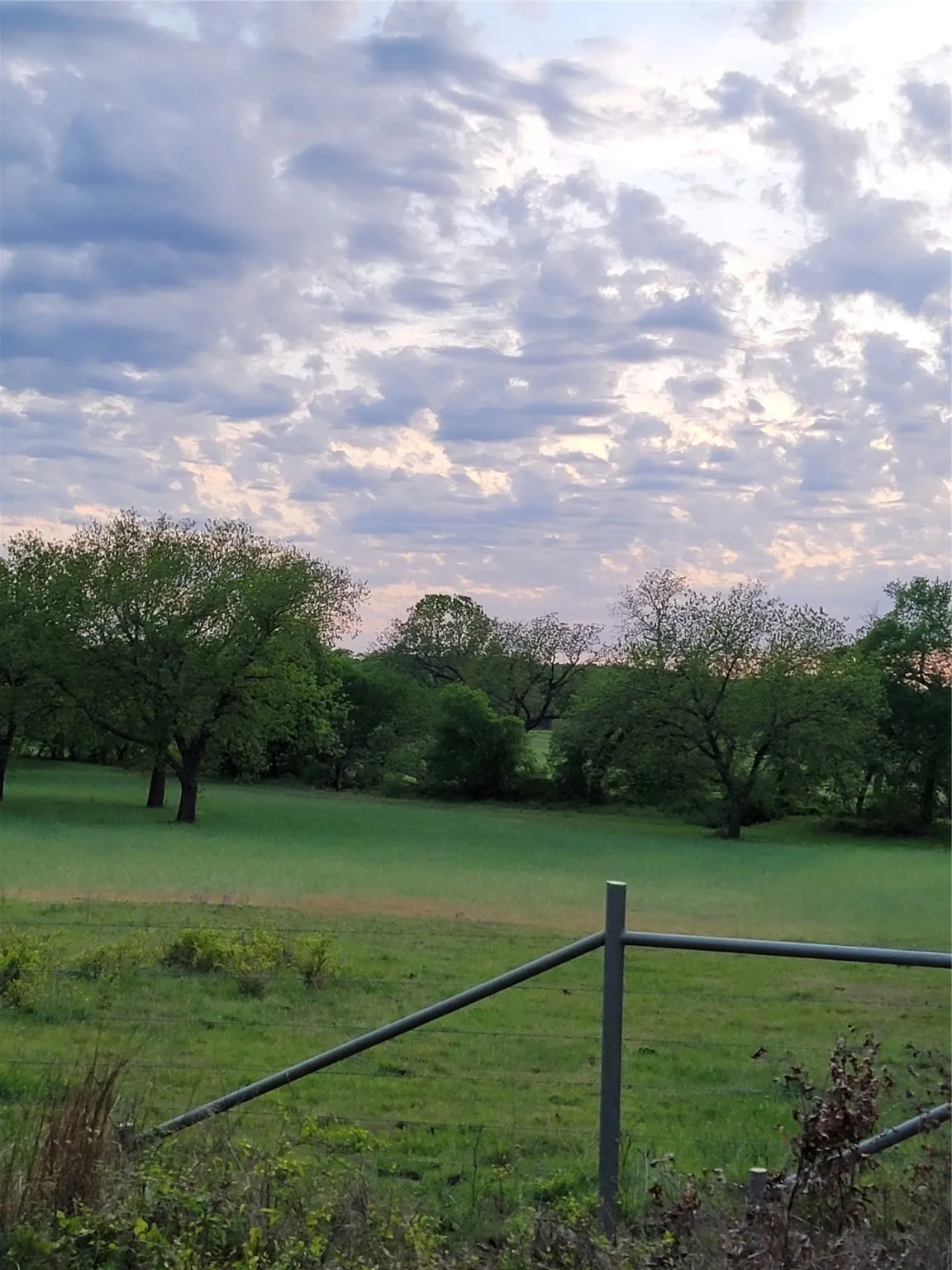 Ranch For Sale in Montague County , 00000 Hwy 59 S, Bowie, Texas 76230, 0, 0, Garage spaces, 0 Sqft, built in 0, Price $375,375, mls#14626757, Real Estate Agent in Bowie, Homes For Sale in Montague county, Homes For Sale in Bowie, Realtor in Bowie Texas, Real Estate Brokerage Independent Realty Texas, Luminita Cordes Realtor