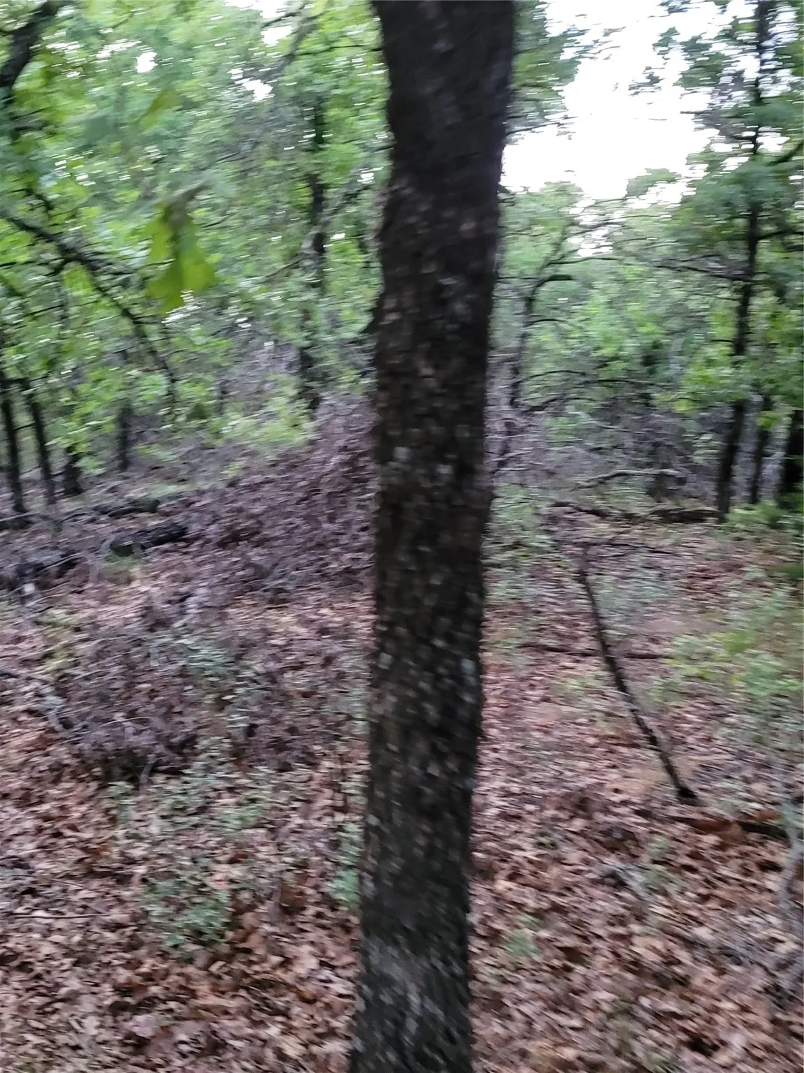 Ranch For Sale in Montague County , 00000 Hwy 59 S, Bowie, Texas 76230, 0, 0, Garage spaces, 0 Sqft, built in 0, Price $375,375, mls#14626757, Real Estate Agent in Bowie, Homes For Sale in Montague county, Homes For Sale in Bowie, Realtor in Bowie Texas, Real Estate Brokerage Independent Realty Texas, Luminita Cordes Realtor
