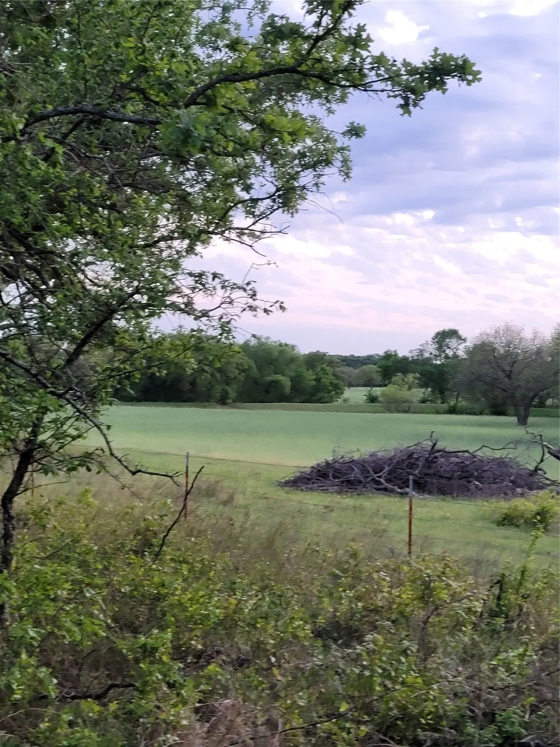 Ranch For Sale in Montague County , 00000 Hwy 59 S, Bowie, Texas 76230, 0, 0, Garage spaces, 0 Sqft, built in 0, Price $375,375, mls#14626757, Real Estate Agent in Bowie, Homes For Sale in Montague county, Homes For Sale in Bowie, Realtor in Bowie Texas, Real Estate Brokerage Independent Realty Texas, Luminita Cordes Realtor