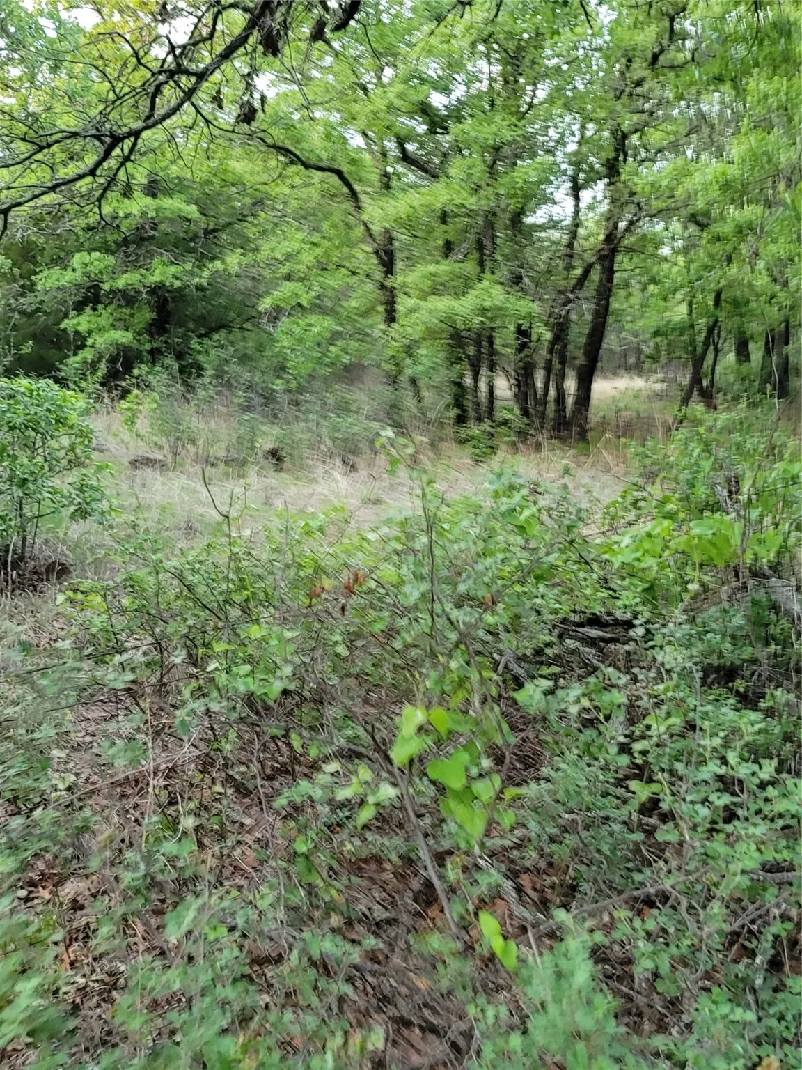 Ranch For Sale in Montague County , 00000 Hwy 59 S, Bowie, Texas 76230, 0, 0, Garage spaces, 0 Sqft, built in 0, Price $375,375, mls#14626757, Real Estate Agent in Bowie, Homes For Sale in Montague county, Homes For Sale in Bowie, Realtor in Bowie Texas, Real Estate Brokerage Independent Realty Texas, Luminita Cordes Realtor