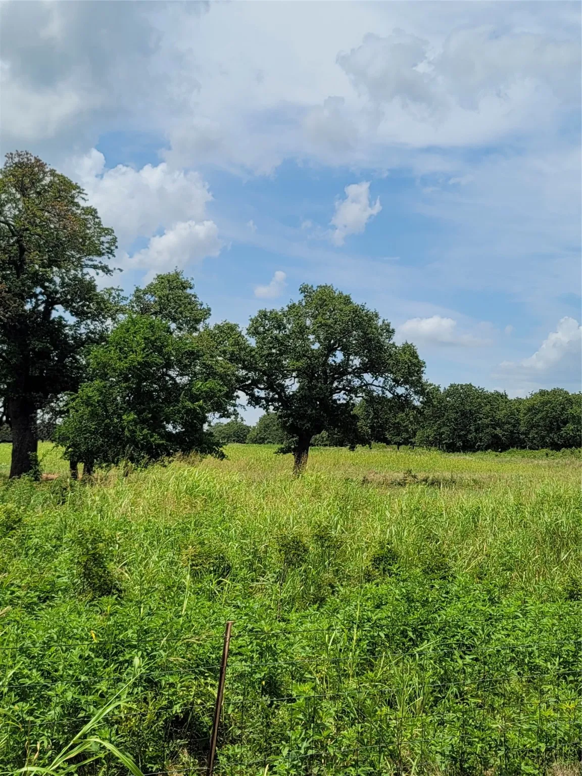 Ranch For Sale in Montague County , 00000 Hwy 59 S, Bowie, Texas 76230, 0, 0, Garage spaces, 0 Sqft, built in 0, Price $375,375, mls#14626757, Real Estate Agent in Bowie, Homes For Sale in Montague county, Homes For Sale in Bowie, Realtor in Bowie Texas, Real Estate Brokerage Independent Realty Texas, Luminita Cordes Realtor