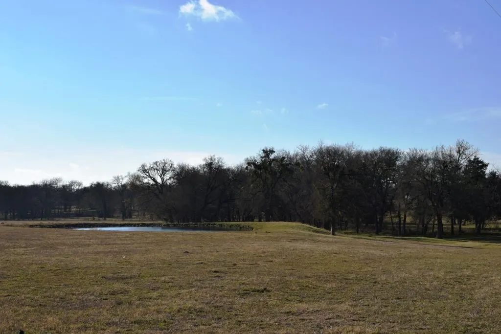 Ranch For Sale in Fannin County , TBD S State Highway 121, Bonham, Texas 75418, 0, 0, Garage spaces, 0 Sqft, built in 0, Price $2,200,000, mls#14730025, Real Estate Agent in Bonham, Homes For Sale in Fannin county, Homes For Sale in Bonham, Realtor in Bonham Texas, Real Estate Brokerage Independent Realty Texas, Luminita Cordes Realtor