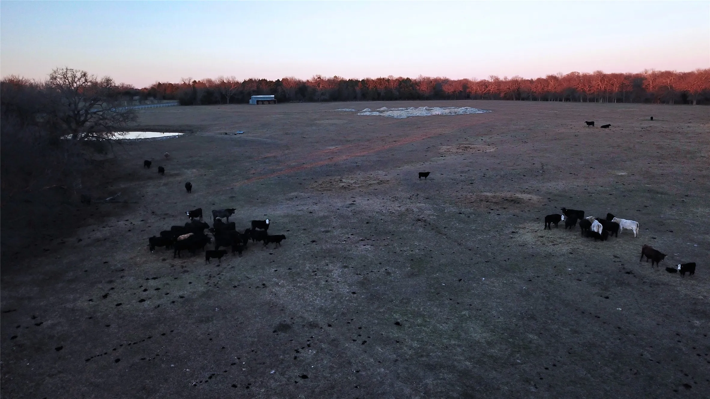 Ranch For Sale in Fannin County , TBD S State Highway 121, Bonham, Texas 75418, 0, 0, Garage spaces, 0 Sqft, built in 0, Price $2,200,000, mls#14730025, Real Estate Agent in Bonham, Homes For Sale in Fannin county, Homes For Sale in Bonham, Realtor in Bonham Texas, Real Estate Brokerage Independent Realty Texas, Luminita Cordes Realtor