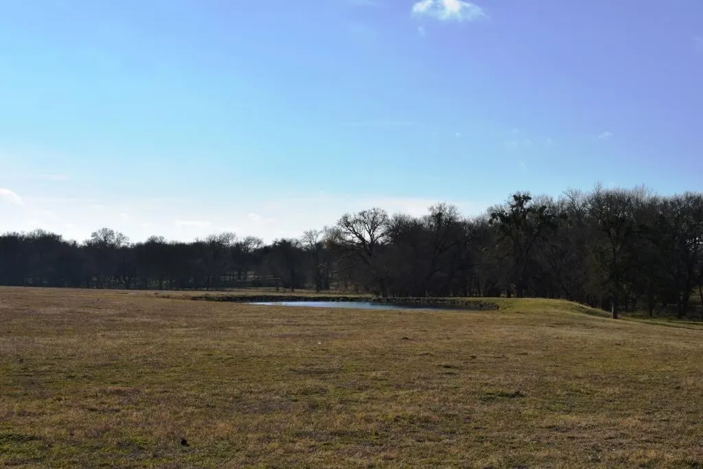 Ranch For Sale in Fannin County , TBD S State Highway 121, Bonham, Texas 75418, 0, 0, Garage spaces, 0 Sqft, built in 0, Price $2,200,000, mls#14730025, Real Estate Agent in Bonham, Homes For Sale in Fannin county, Homes For Sale in Bonham, Realtor in Bonham Texas, Real Estate Brokerage Independent Realty Texas, Luminita Cordes Realtor