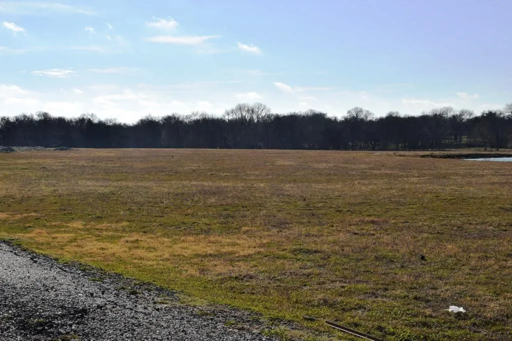 Ranch For Sale in Fannin County , TBD S State Highway 121, Bonham, Texas 75418, 0, 0, Garage spaces, 0 Sqft, built in 0, Price $2,200,000, mls#14730025, Real Estate Agent in Bonham, Homes For Sale in Fannin county, Homes For Sale in Bonham, Realtor in Bonham Texas, Real Estate Brokerage Independent Realty Texas, Luminita Cordes Realtor