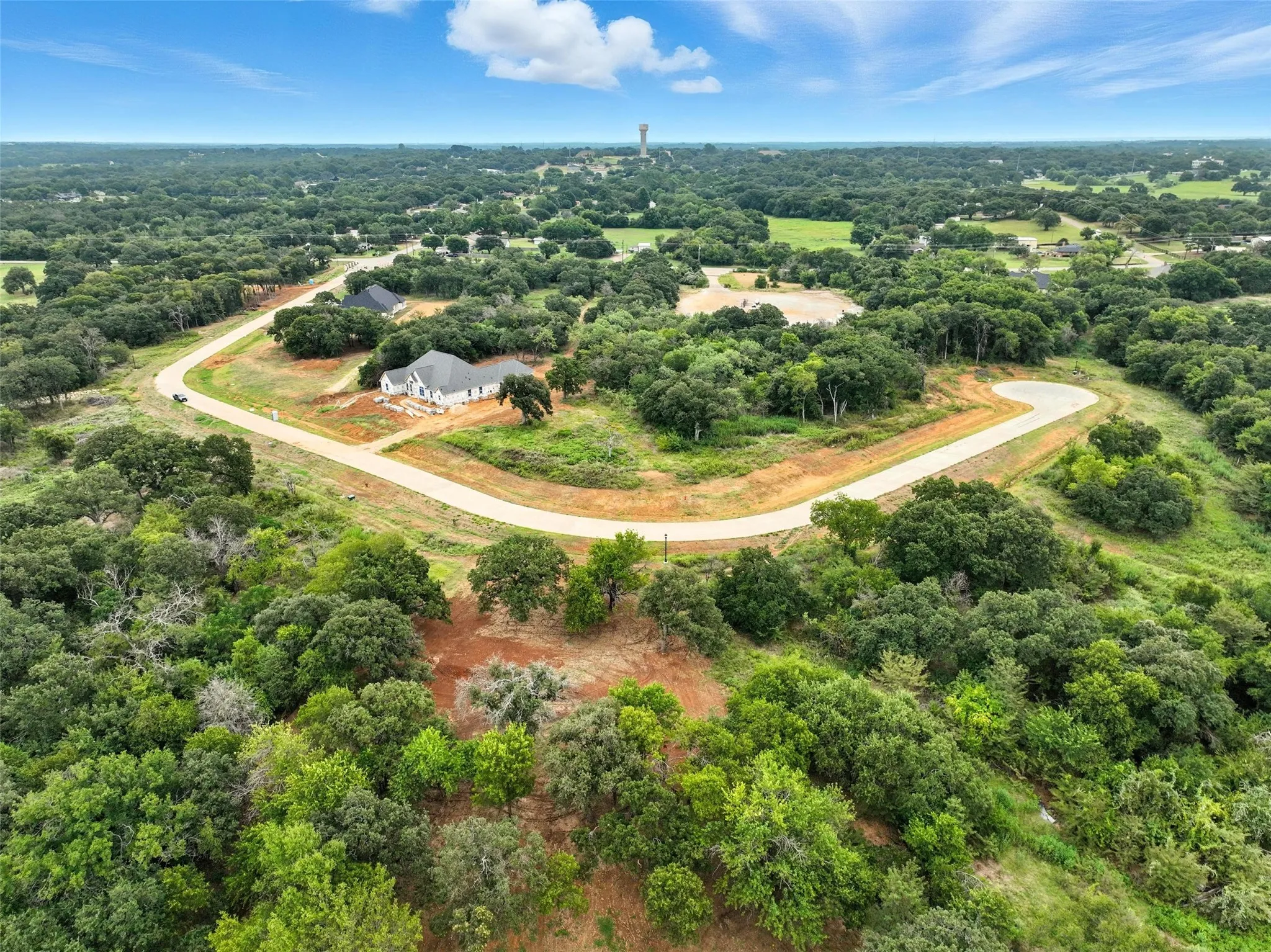 Drone / aerial view of a forest