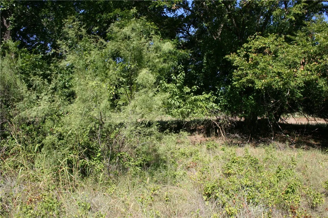 Wooded section