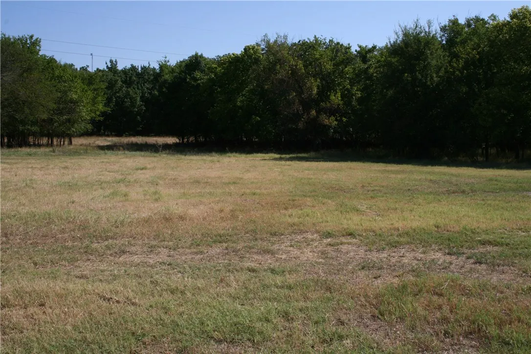 Back area