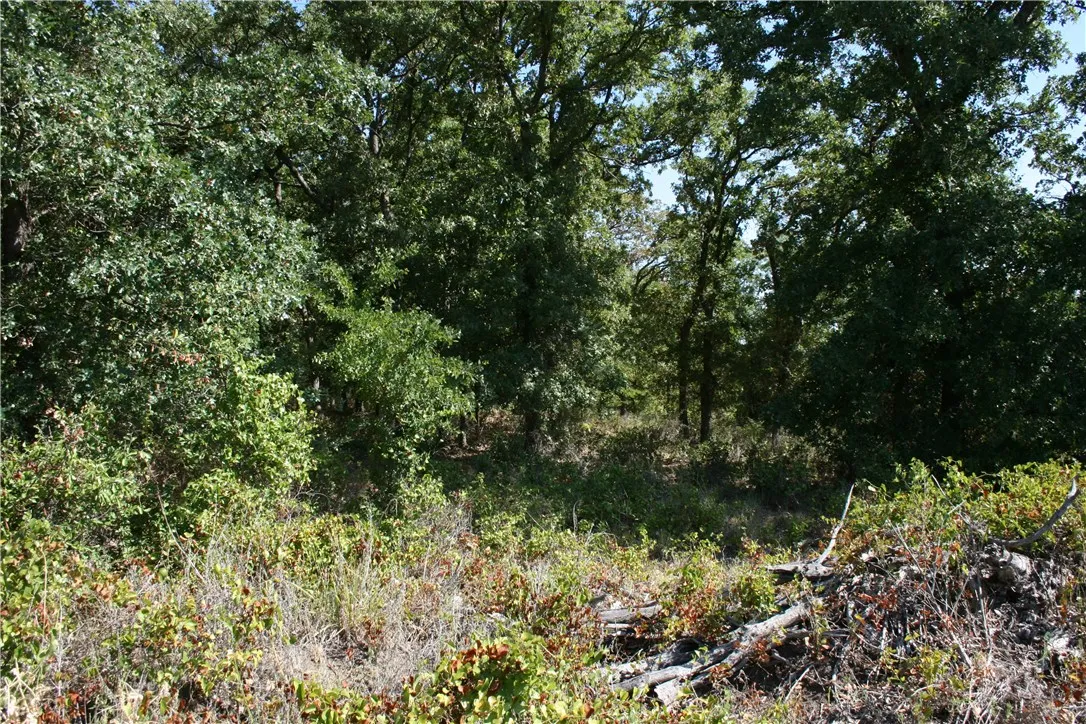 Wooded