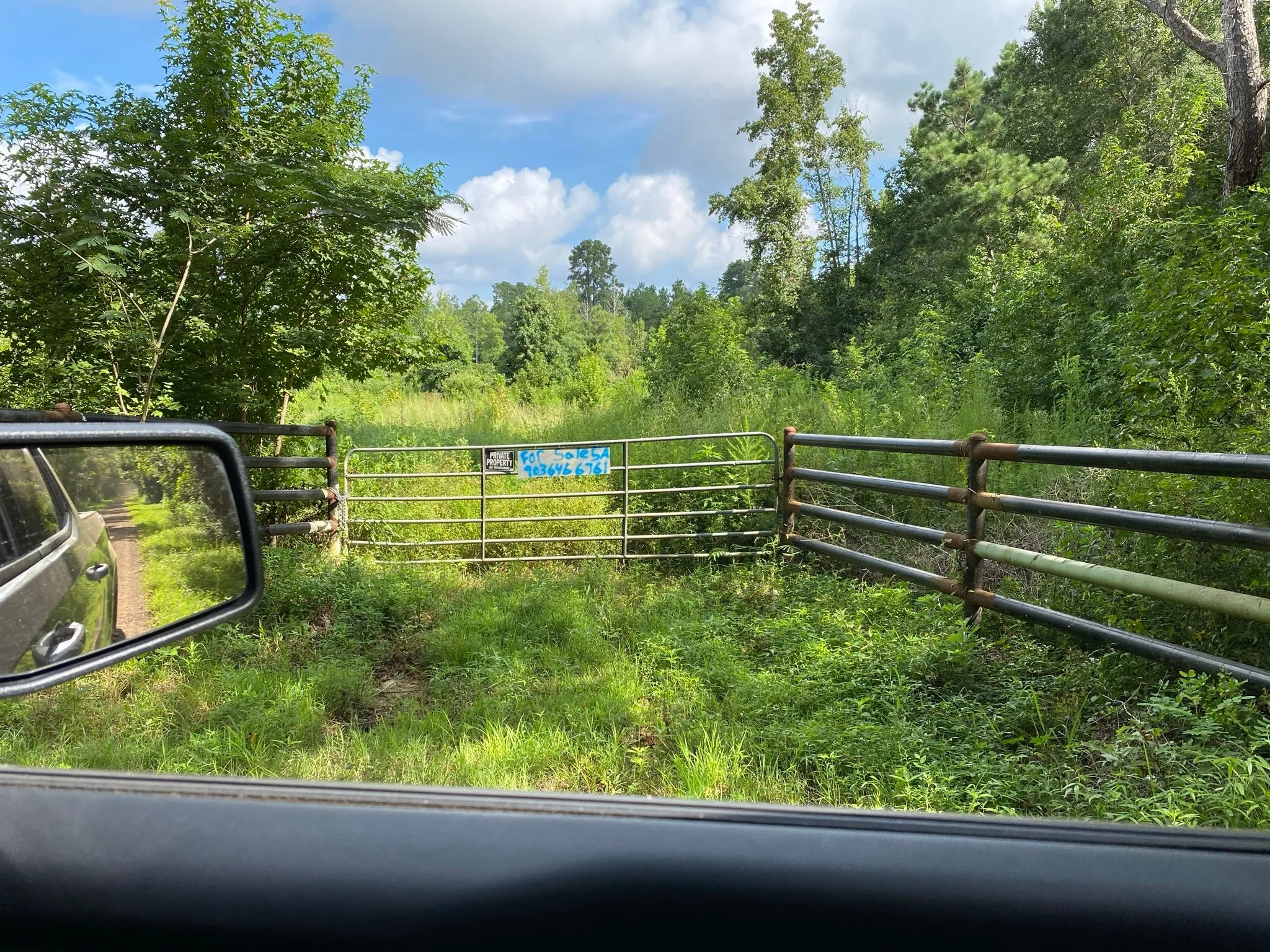 Ranch For Sale in Rusk County , TBD County Road 394, Tatum, Texas 75691, 0, 0, Garage spaces, 0 Sqft, built in 0, mls#14667229, Real Estate Agent in Tatum, Homes For Sale in Rusk county, Homes For Sale in Tatum, Realtor in Tatum Texas, Real Estate Brokerage Independent Realty Texas, Luminita Cordes Realtor